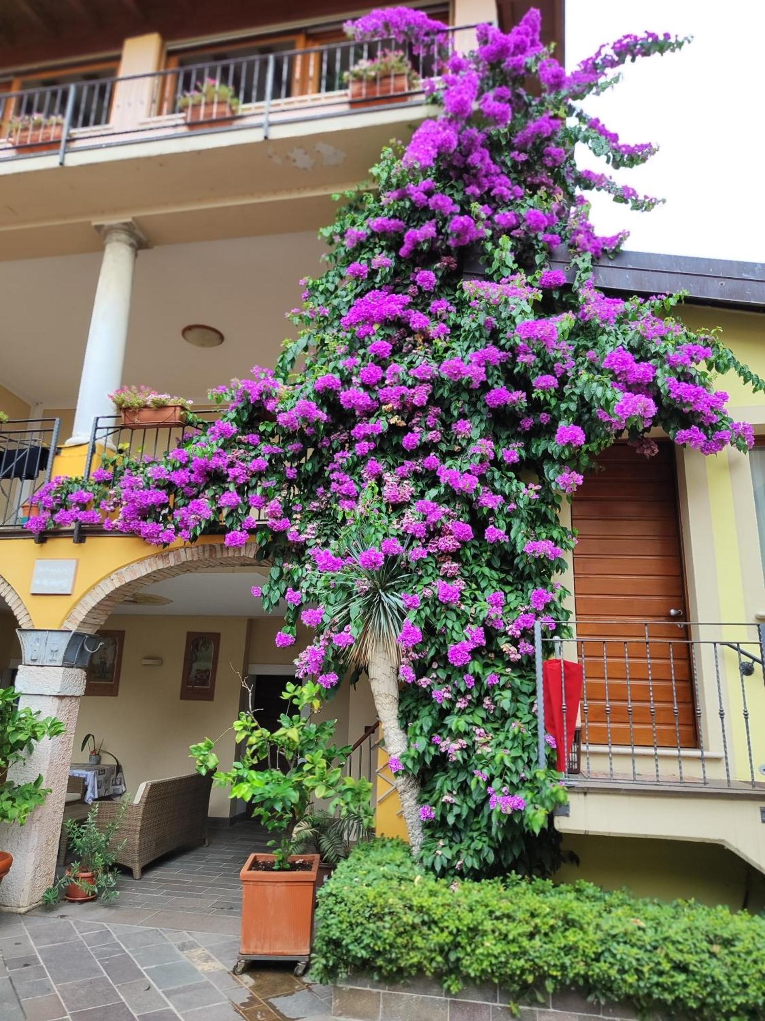Agriturismo Il Barone * Moniga del Garda